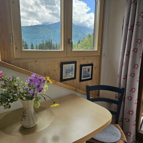 Komfort Apartman pro 4 os. se 2 ložnicemi s výhledem na hory