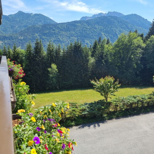 Komfort Apartman s manželskou postelí s 1 ložnicí s výhledem na hory