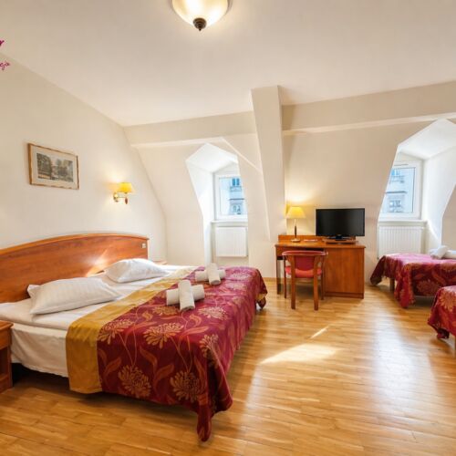 Standard Triple Room (extra bed available)