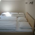 Standard Sa kupaonicom soba sa 3 kreveta(om) (za 3 osoba(e))