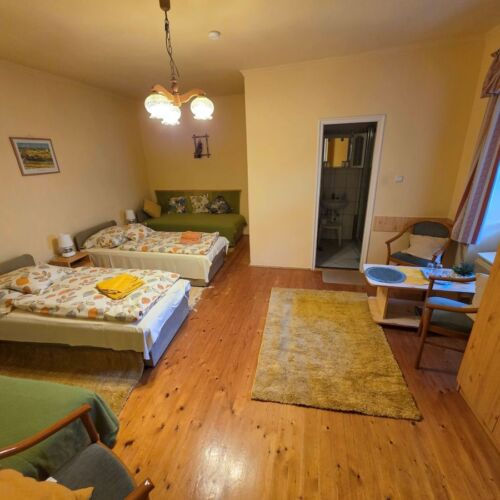 Camera tripla la parter cu vedere spre oraș