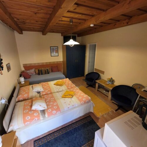 Camera tripla cu vedere spre curte