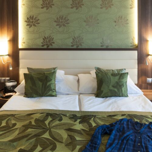 Camera dubla superior (se poate solicita pat suplimentar)