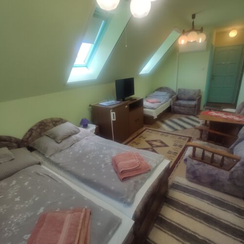 Camera tripla la mansardă cu panoramă (se poate solicita pat suplimentar)