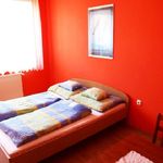 Apartament gold la parter cu 2 camere pentru 5 pers. (se poate solicita pat suplimentar)