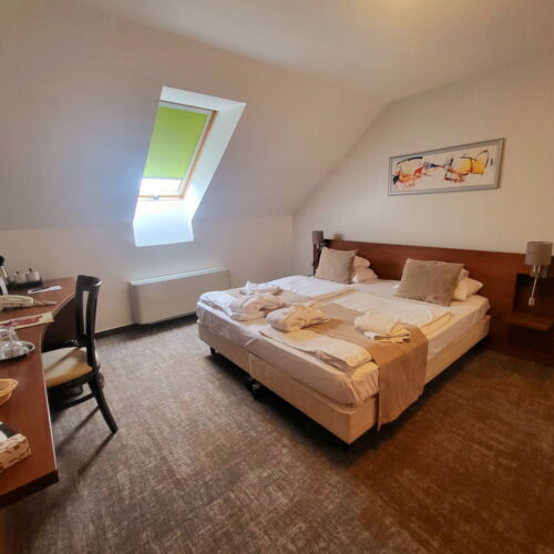 Camera twin economy la mansardă