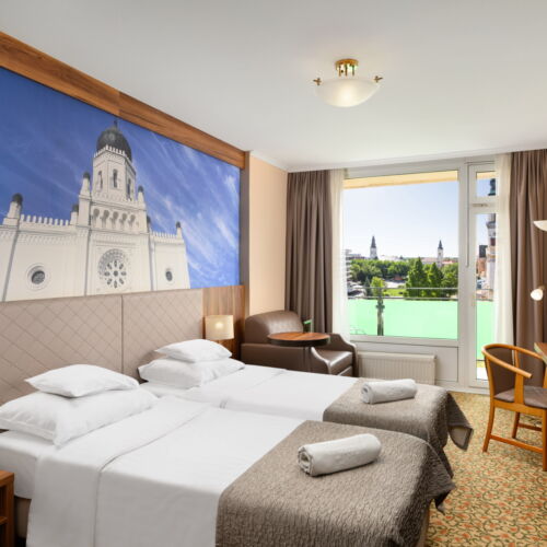 Camera twin (se poate solicita pat suplimentar)