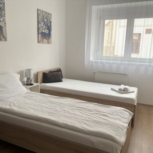 Apartament economy cu 1 camera pentru 2 pers.