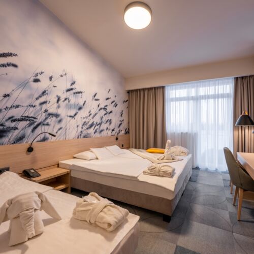 Superior Twin Room with Shower (extra bed available)