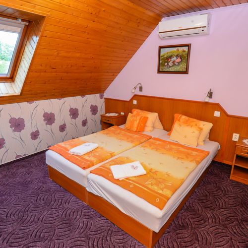 Standard Pokoj s koupelnou s manželskou postelí