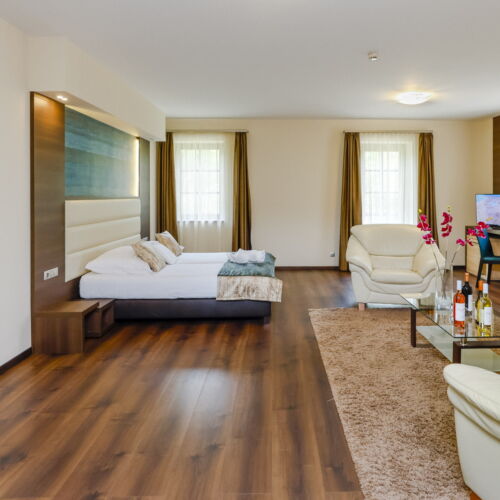 Rezydencja pokój 2-osobowy Superior z 1 pomieszczeniem sypialnianym (możliwa dostawka)