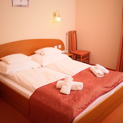 Camera dubla standard