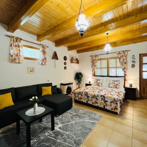 Apartament premium întreaga unitate cu 1 camera pentru 2 pers. (se poate solicita pat suplimentar)