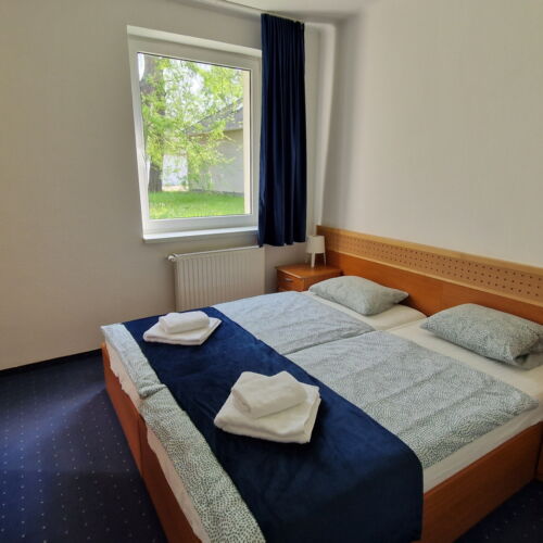 Camera twin standard