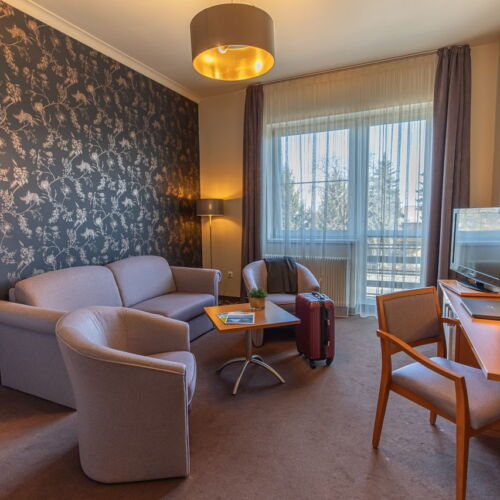 Suita family cu vedere spre oraș cu 2 camere pentru 3 pers.