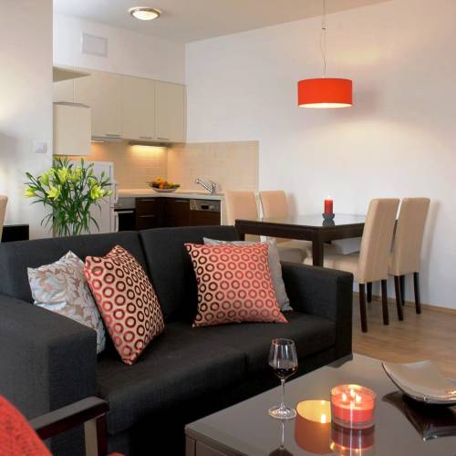 Apartament deluxe cu 1 camera pentru 2 pers. (se poate solicita pat suplimentar)