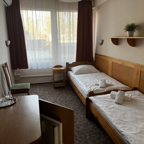 Camera twin classic cu vedere spre curte