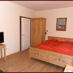 Ground Floor Premium Double Room (extra beds available)