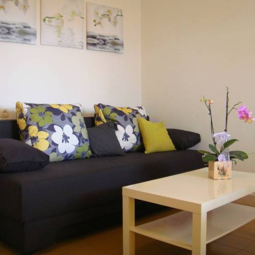 Apartament c cu 2 camere pentru 4 pers. (se poate solicita pat suplimentar)