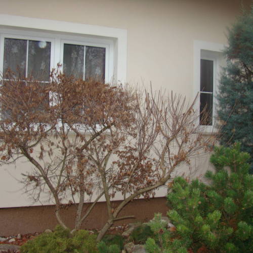 Apartman pro 5 os. se 2 ložnicemi s výhledem do zahrady na přízemí