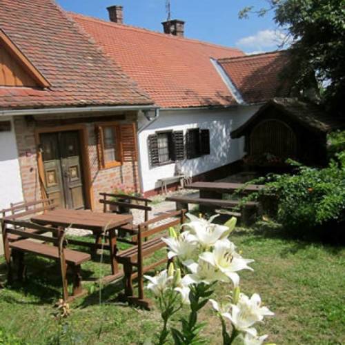 Ganzes Haus 3-Zimmer-Apartment für 6 Personen mit Aussicht auf den Wald