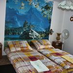Camera dubla la mansarda cu vedere spre gradina