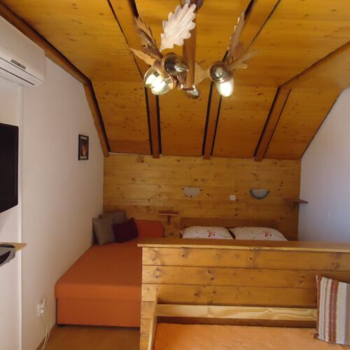 Apartament 3-osobowy Studio z 1 pomieszczeniem sypialnianym (możliwa dostawka)