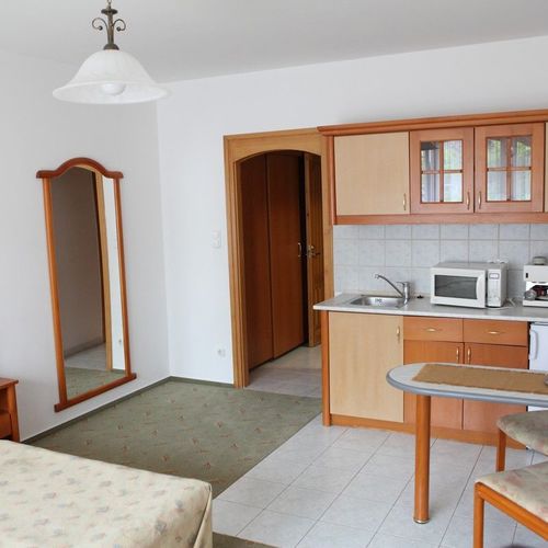 Apartament studio cu 1 camera pentru 2 pers. (se poate solicita pat suplimentar)