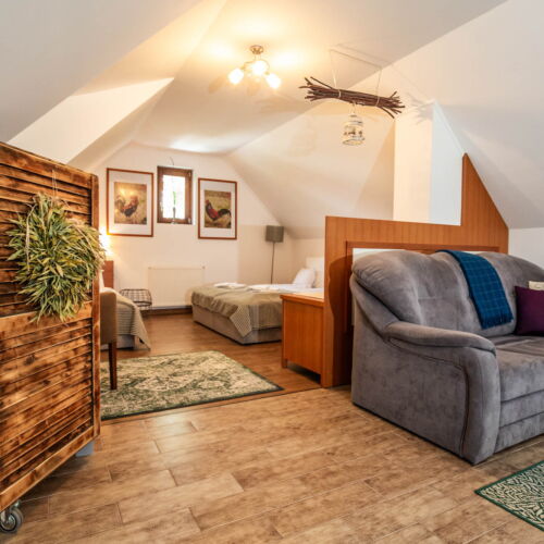 Family 1-Zimmer-Apartment für 4 Personen im Dachgeschoss (Zusatzbett möglich)