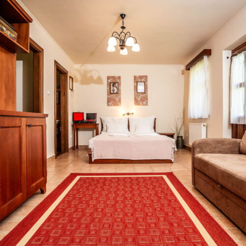 Komfort Erdgeschosses 1-Zimmer-Apartment für 2 Personen (Zusatzbett möglich)