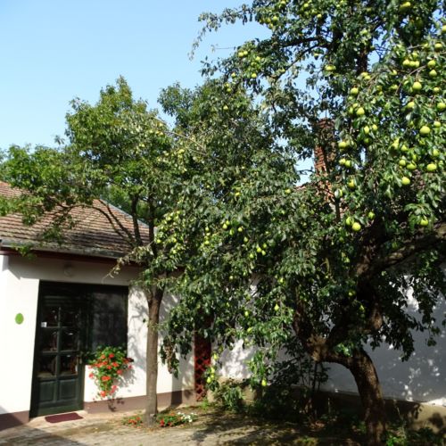 Camera twin la parter cu baie