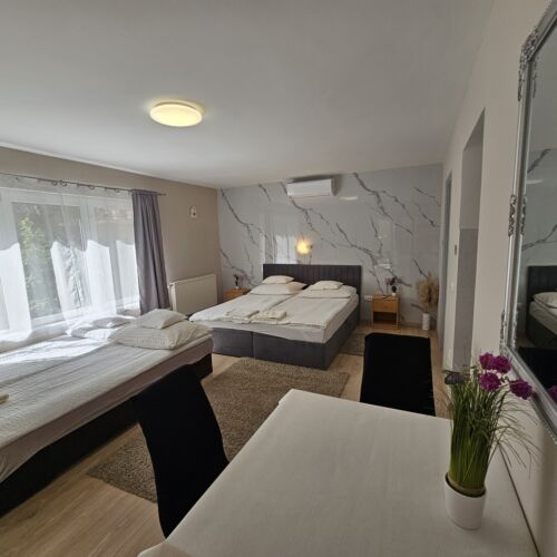 Ground Floor 1-Room Balcony Apartment for 2 Persons (extra beds available)
