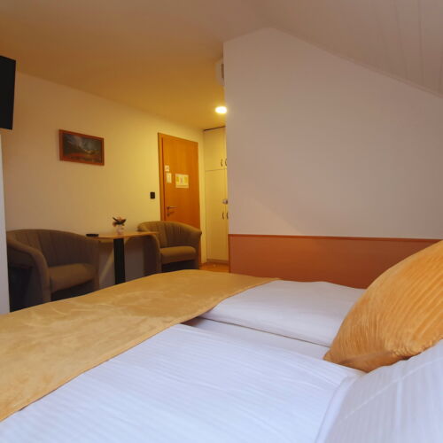 Camera twin mansardă standard