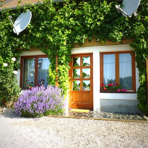 Apartament 2-osobowy Studio z własną kuchnią z 1 pomieszczeniem sypialnianym (możliwa dostawka)