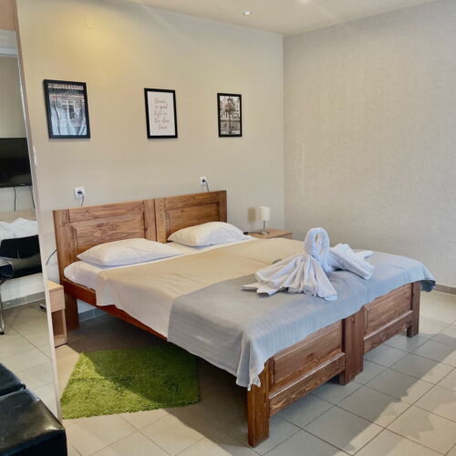 Camera dubla classic cu vedere spre parc