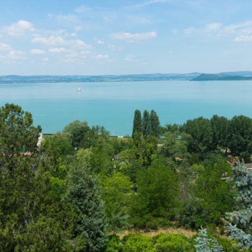 Apartament standard la parter cu 1 camera pentru 4 pers.