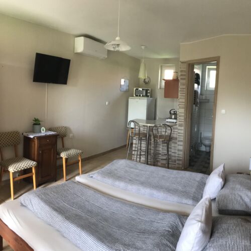 Camera twin cu aer condiționat cu vedere spre grădină