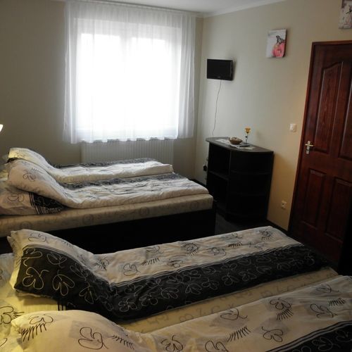 Apartament cu vedere spre padure cu vedere spre munte cu 1 camera pentru 4 pers.