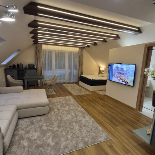 Deluxe 1-Room Air Conditioned Apartment for 2 Persons (extra beds available)
