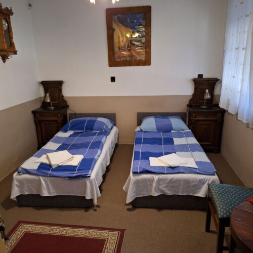 Camera twin standard la parter