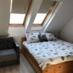 Mountain View Mansard Triple Room (extra beds available)