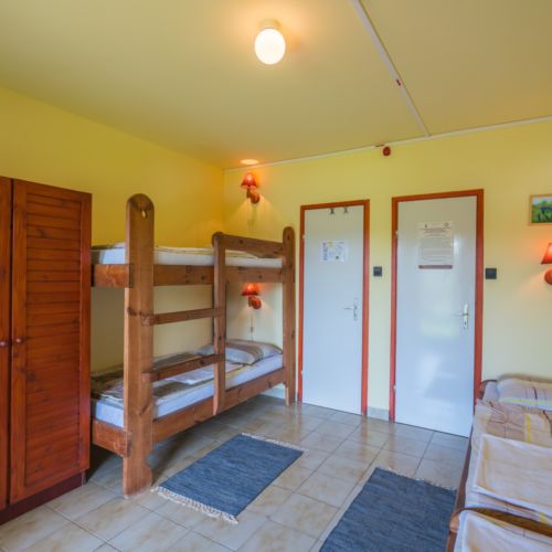 Apartament 4-osobowy Studio z widokiem na las z 1 pomieszczeniem sypialnianym