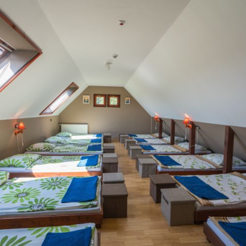 Pokój 10-osobowy na poddaszu z widokiem na las