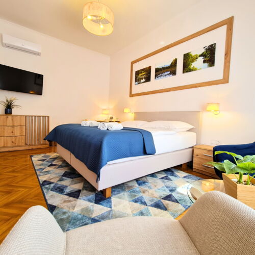 Camera dubla la parter cu vedere spre grădină