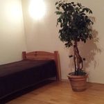 Földszintes Standard 3 fős apartman 1 hálótérrel