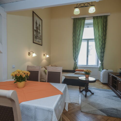 Apartament maisonetă cu vedere spre oraș cu 1 camera pentru 2 pers. (se poate solicita pat suplimentar)