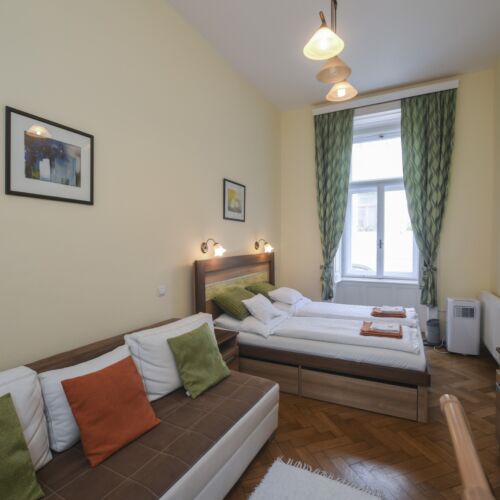 Apartament cu vedere spre oraș cu 1 camera pentru 2 pers. (se poate solicita pat suplimentar)