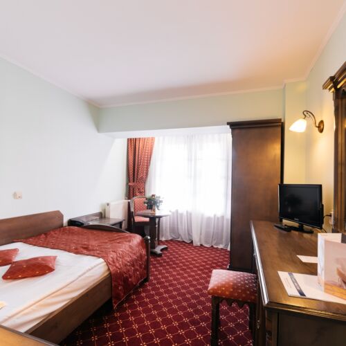 Camera single standard cu panoramă