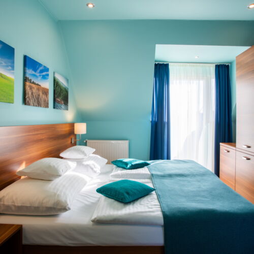 Camera twin classic cu vedere spre grădină