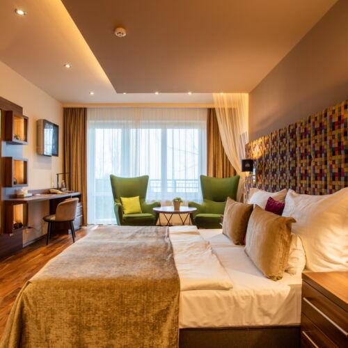 Camera twin superior cu vedere spre lac (se poate solicita pat suplimentar)